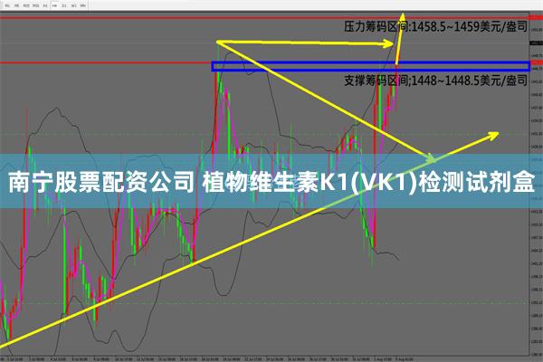 南宁股票配资公司 植物维生素K1(VK1)检测试剂盒