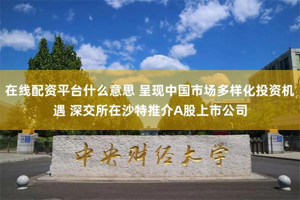 在线配资平台什么意思 呈现中国市场多样化投资机遇 深交所在沙特推介A股上市公司