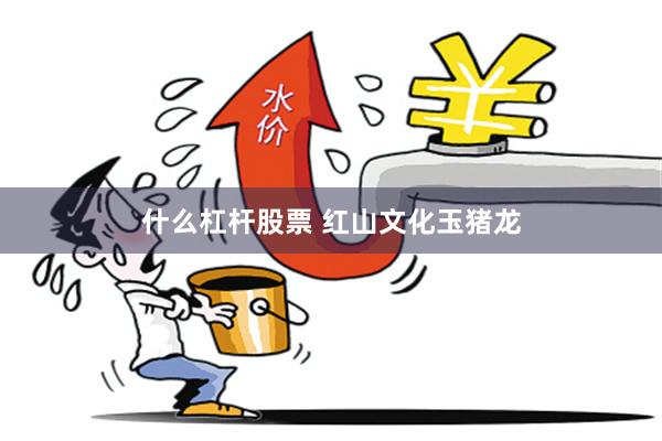 什么杠杆股票 红山文化玉猪龙