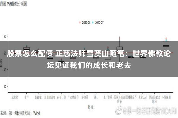 股票怎么配债 正慈法师雪窦山随笔：世界佛教论坛见证我们的成长和老去